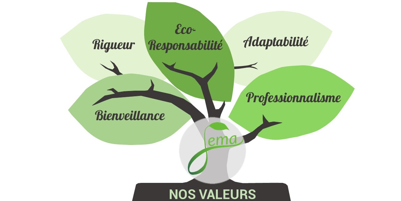 Valeurs